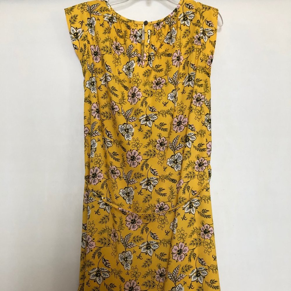 LOFT Ann Taylor Garden Tie Waist Flounce Dress XS